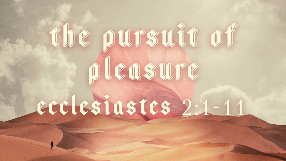 The Pursuit of Pleasure Image