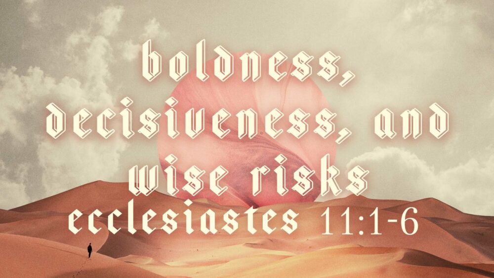 Boldness, Decisiveness, and Wise Risks Image