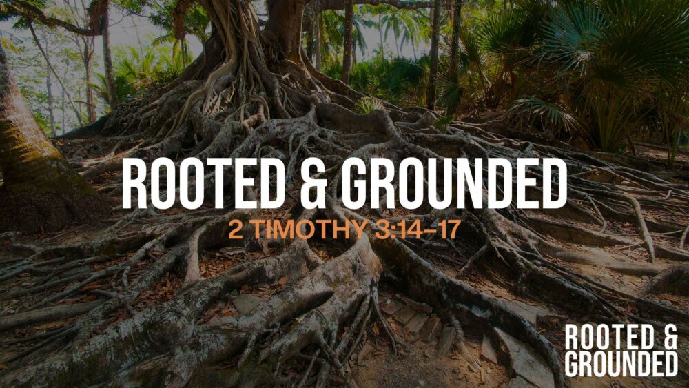 Rooted & Grounded Image