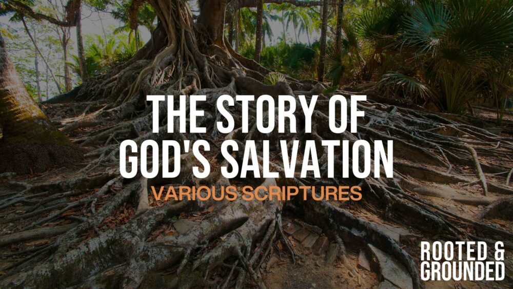 The Story of God's Salvation Image