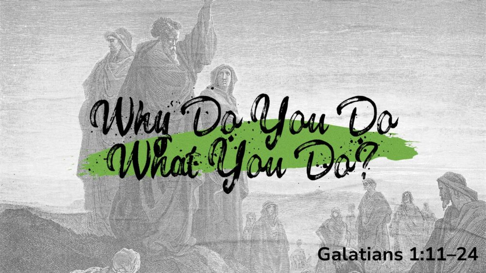 Why Do You Do What You Do? Image