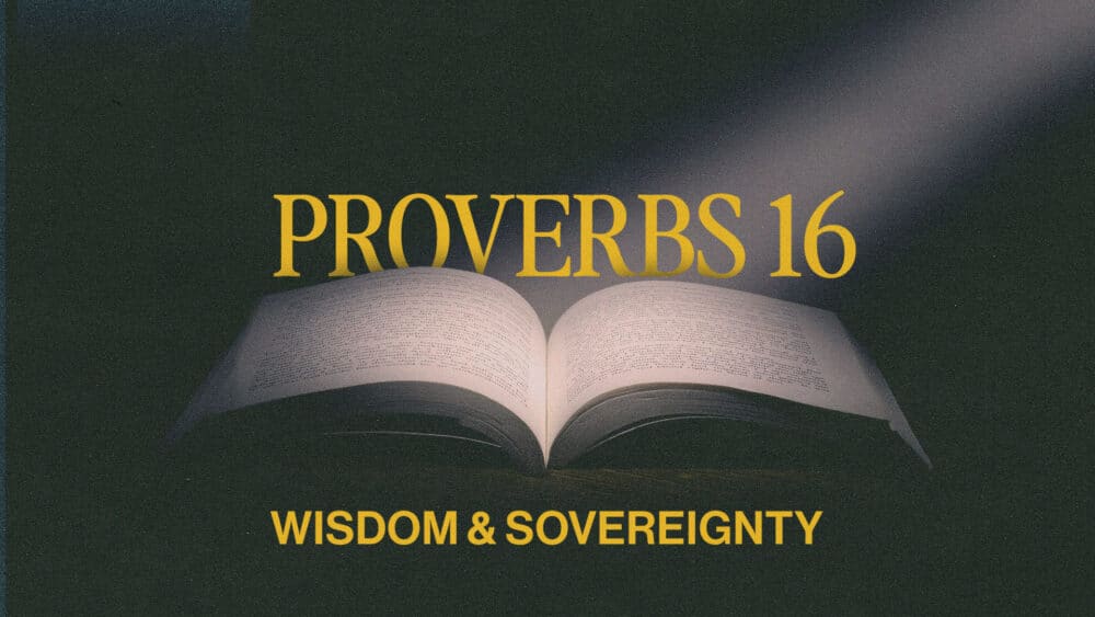Wisdom & Sovereignty