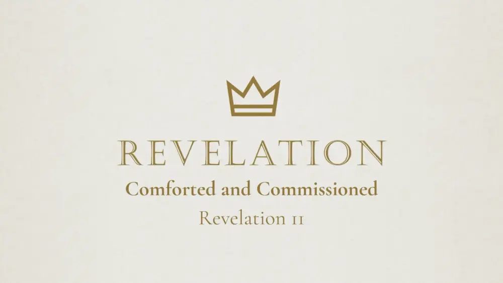 Comforted and Commissioned Image